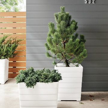 Equator Planters