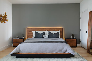 Imagen de dormitorio principal moderno de tamaño medio con paredes grises y suelo de madera en tonos medios