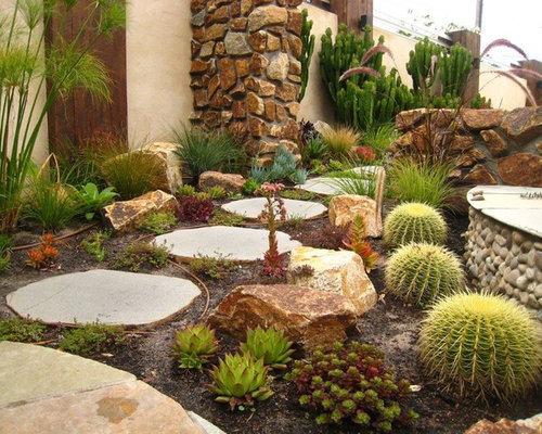 Cactus Garden | Houzz