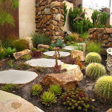Indoor Plants