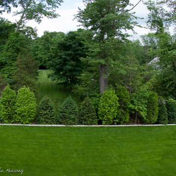 Mature Landscape and Infinity-Edge Pool