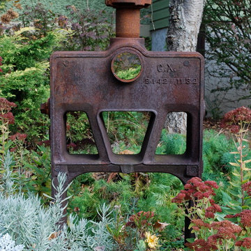 Favorite Plants and Cool Stuff