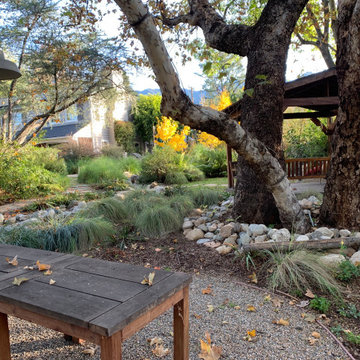 California Craftsman Forest - 5 Years Later