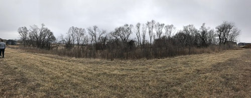 Best Way To Clear Shrubs Small Trees From Land The Above Is Picture Of What We Are Dealing With Mostly All Very Small Trees And Shrubs Would Ing A Rotary Walk Behind Brush Cutter Do Job