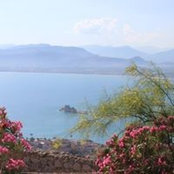 Susan Cleary's photo