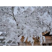 Kay Tran's photo