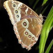 Carole Stefon's photo