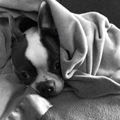 Karl Baldus's photo