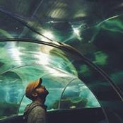 Nate Fahl's photo