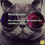 Kitt Kelleher Diaz's photo