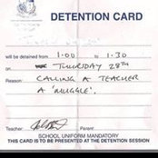 David Lamp's photo