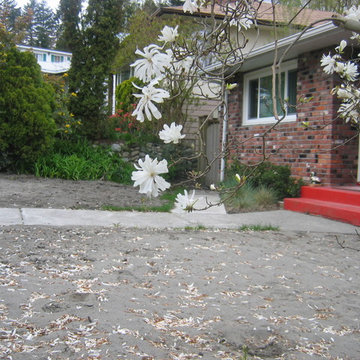 New Westminster S/S Before