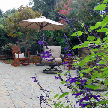 Willow Glen Restoration, San Jose, Californial