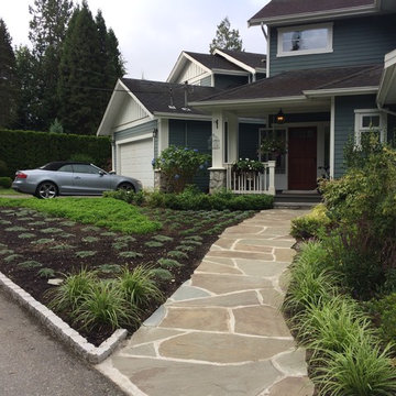 Ioco Lawn Alternative