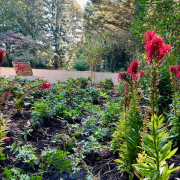 Rain Garden & Lap Pool Princeton NJ