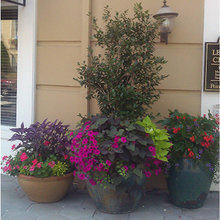 Pots