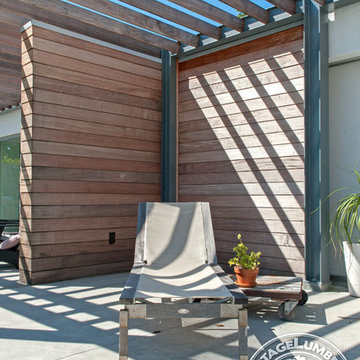 Low maintenance Gray Ipe