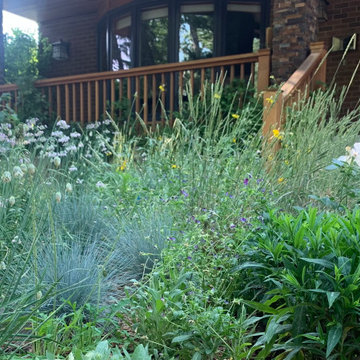 naturalizing front yard