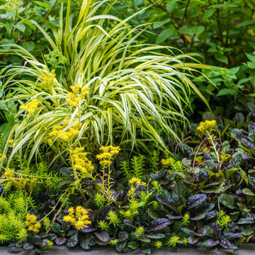 Mercer Island - Layered Planting Design