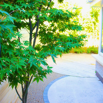 Zen Garden