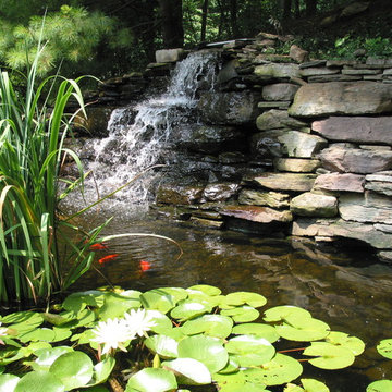 Pikesville Project