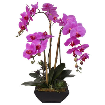 Real Touch Phalaenopsis Silk Orchids With Succulents in Metal Container