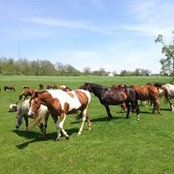 Lee Murray's photo