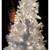 Carol Theis's photo