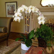 miriam garcia's photo
