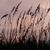 Susan Cox's photo