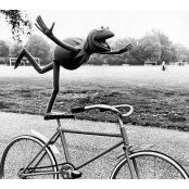 Foto de Dave Payne