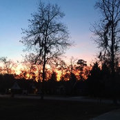 Gail Ricker's photo