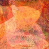 Billie Day's photo