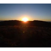 John Trentini's photo
