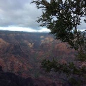 Maryann Buma's photo