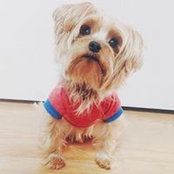 Rocky Ramirez's photo