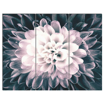 "Macro Chrysanthemum Flower" Metal Art, 3 Panels, 36"x28"