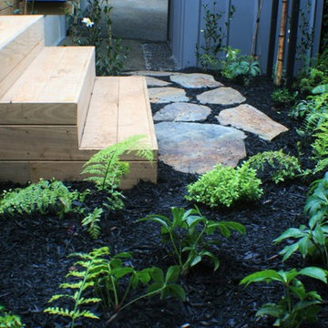 Boardwalk back garden