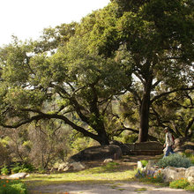 farmhouse garden