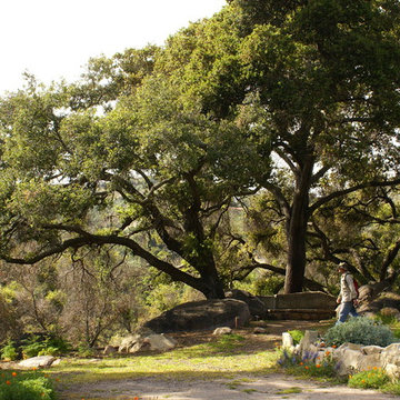 3 Easy Steps to Create a Butterfly Garden