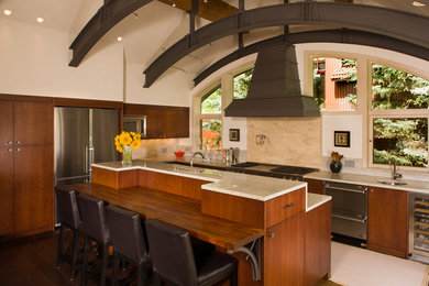 Kitchen - contemporary kitchen idea in Denver