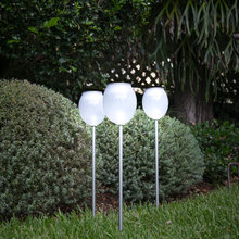 Patio Ideas