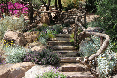 Custom Residence's Projects