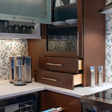 Uptown Condo Kitchen