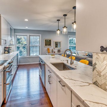 Oakton Contemporary Kitchen Remodel