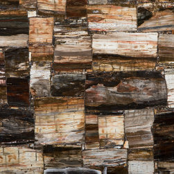 Caesarstone Petrified Wood Classic&trade; 8331 - Products