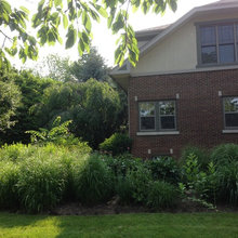 735 n chestnut landscaping - spring 2016