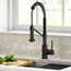 Bolden Commercial Pull-Down 1-Handle Kitchen Filter Faucet, 3-Function, MB
