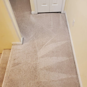 Carpet Cleaning