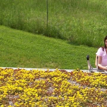 Green Roof